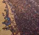 Maha Kumbh ends today