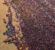Maha Kumbh Last Day Sees 13 Crore Devotees Taking Holy Dip in Prayagraj