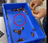 Customs Officers at IGI Airport Recover Gold from Passenger Concealed Inside Dates