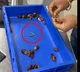 Customs Officers at IGI Airport Recover Gold from Passenger Concealed Inside Dates