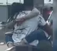 Couple's Public Display of Affection on Bengaluru Road Goes Viral