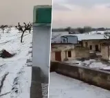 Rajasthan City Churu Known for Extreme Heat Into Winter Wonderland Creating Kashmir Like Scenes