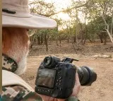 PM Modi goes on jungle safari in Gujarat's Gir wildlife sanctuary, clicks pictures of lions