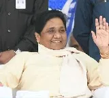 Mayawati expels nephew Akash Anand from BSP
