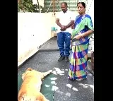 Minister Konda Surekha Mourns the Death of Her Pet Dog – Emotional Video Surfaces