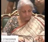 Nirmala Sitharaman says will have to watch trade talks with US