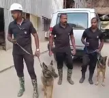 Cadaver dogs, robotic experts deployed for Telangana tunnel rescue operation