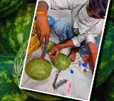 Artificial Coloring in Watermelons: Experts Warn of Cancer Risk