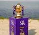 IPL 2024 Kicks Off with New Advertising Restrictions
