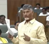 CM Chandrababu reiterated TDP always committed for women empowerment