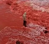 Iran Beach Turns Bright Red After Mysterious Blood Rain