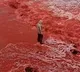 Iran Beach Turns Bright Red After Mysterious Blood Rain