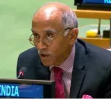 India calls for more inclusive fight against bigotry that targets religiophobia