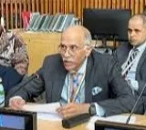 India denounces Pak’s ‘fanatical mindset’, says ranting on Kashmir won’t justify cross-border terror