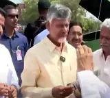 CM Chandrababu Visits Tanuku
