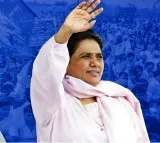 Mayawati calls for caste census