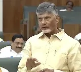CM Chandrababu opines on tri language policy