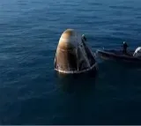 Unplanned welcome: Dolphins greet astronauts as they return home after extended space mission