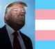 Trump Faces Legal Setback as Court Upholds Transgender Rights
