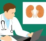 Seven Leading Causes of Kidney Stones You Should Know