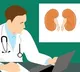 Seven Leading Causes of Kidney Stones You Should Know