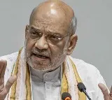 Amit Shah Accuses Political Parties of Using Language Issue for Political Gain