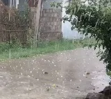 Telangana Faces Crop Damage from Hailstorm; Rain Expected Until Monday