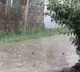 Telangana Faces Crop Damage from Hailstorm; Rain Expected Until Monday