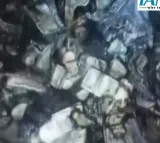 SC releases Delhi Police's video showing burnt cash at judge's residence