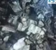 SC releases Delhi Police's video showing burnt cash at judge's residence
