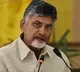 Chandrababu Naidu Pay Tribute to Bhagat Singh