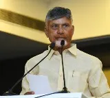 Chandrababu Naidu Reviews Crop Loss Due to Hailstorms in Andhra Pradesh