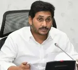 Jagan Free Crop Insurance Implemented as Farmers Right