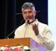 CM Chandrababu Naidu Celebrates Araku Coffees Parliament Debut