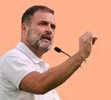 Allahabad Court Gives 4 Weeks to Centre on Rahul Gandhis Citizenship