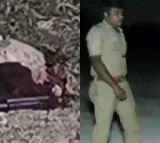 Chain snatcher shot dead in Chennai police encounter while trying to escape