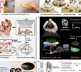 Chinese scientists develop human-like robotic hand with smart palm-finger coordination