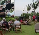 Dinesh Karthik Hosts RCB Team Dinner Viral Video