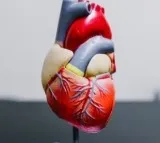 Study decodes who actually needs statin medication to lower cholesterol