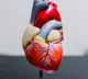 Study decodes who actually needs statin medication to lower cholesterol
