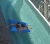 Couples Terrifying Rooftop Pool Experience During Earthquake