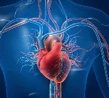New AI algorithm to predict risk of cardiovascular events, heart-related death