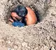 Prakasam Police Stop Live Burial Attempt