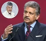 CM Chandrababu’s Ideas Are Brilliant: Anand Mahindra Showers Praise