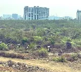 KTR Accuses Green Murder Over 400 Acres Land