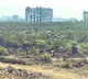 KTR Accuses Green Murder Over 400 Acres Land
