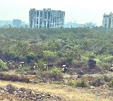 HCU Rejects TGICs Claim on 400 Acres of Land