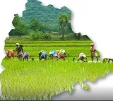 Telangana Begins Rice Exports to Philippines