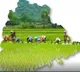 Telangana Begins Rice Exports to Philippines