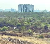 Bandi Sanjay, KTR accuse Telangana government of destroying environment